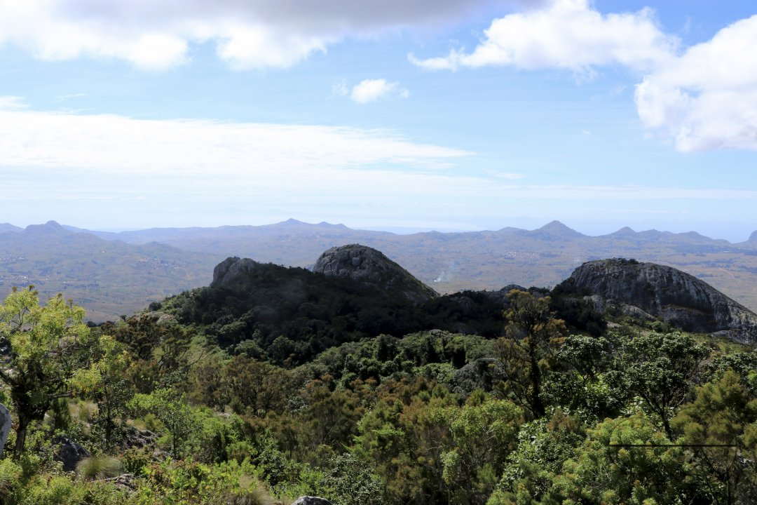 MWC041330
