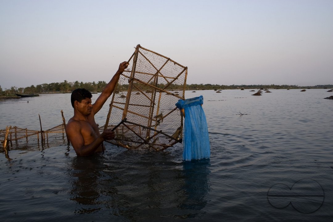 Palanquin_Bangladesh