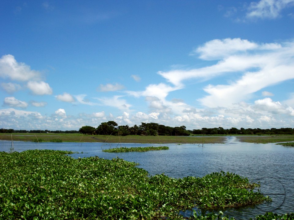 MWC020670