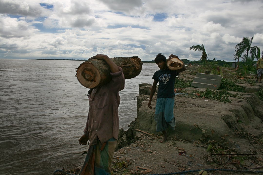 River around Sundarban become polluted