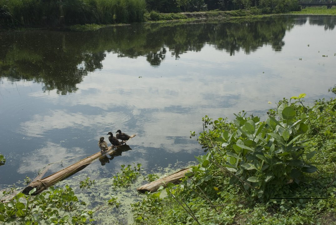 Village_Bangladesh
