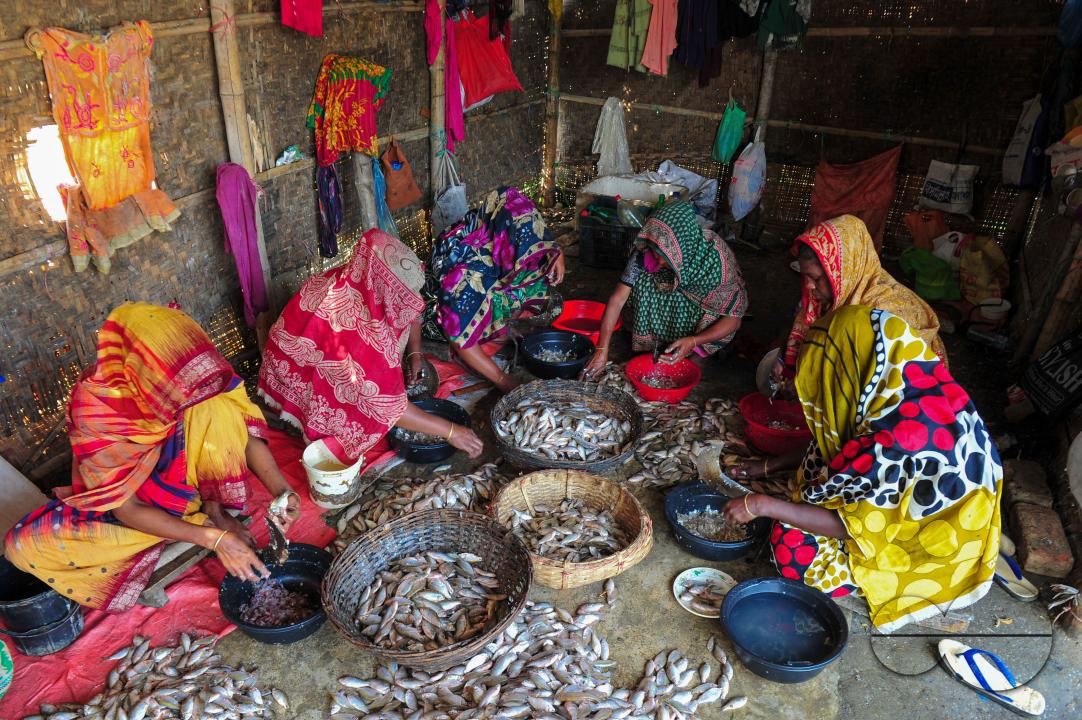 Workers are busy processing dried fish at the Lama Kazi area of Sylhet
