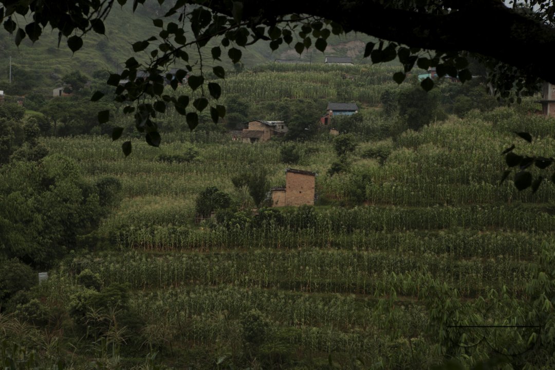 Nepal