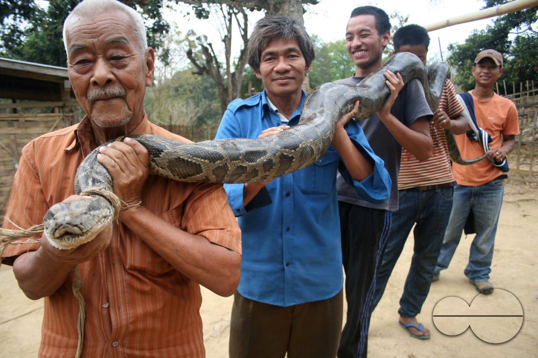 Election Preparation