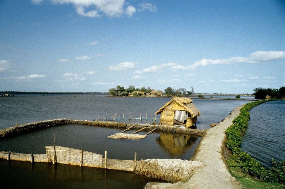 MWC03108