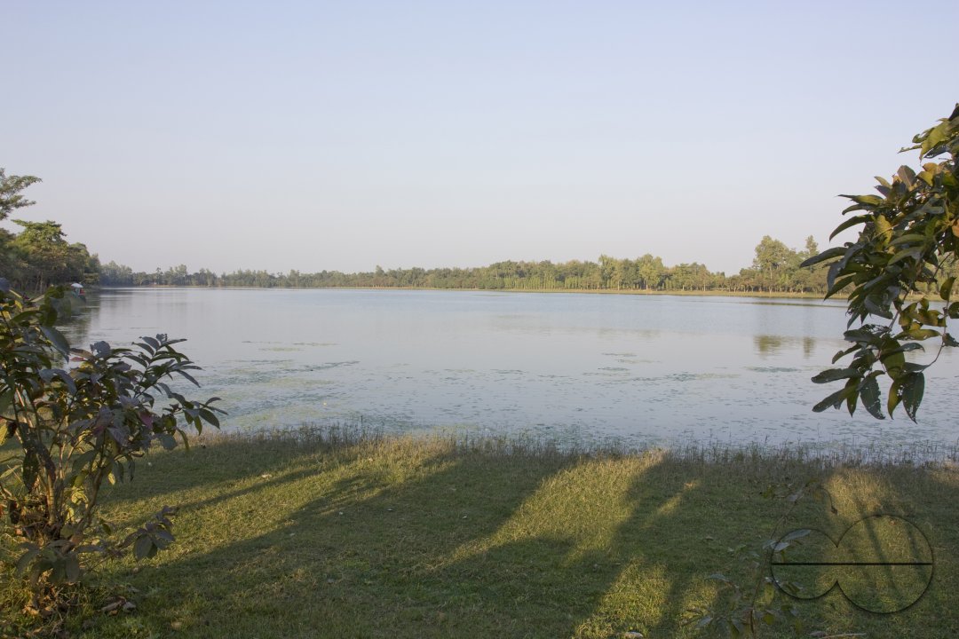 MWC004489
