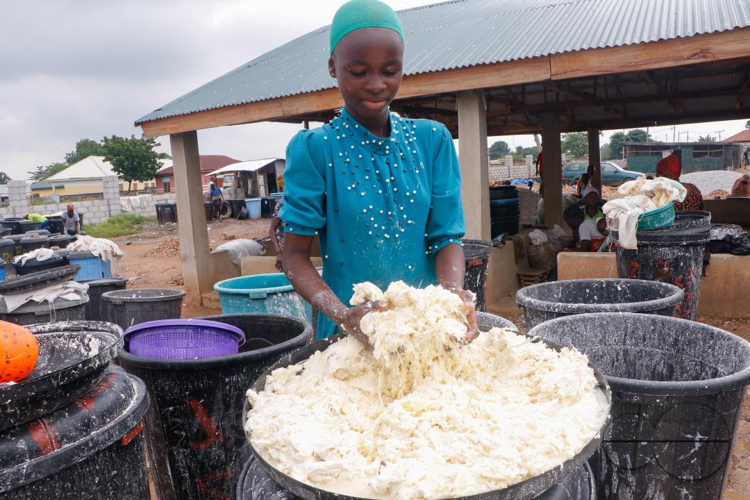 Females in Abuja are struggling and making strides in a local cassava processing factory under difficult conditions to produce flour as they wash out chaff from fermented cassava