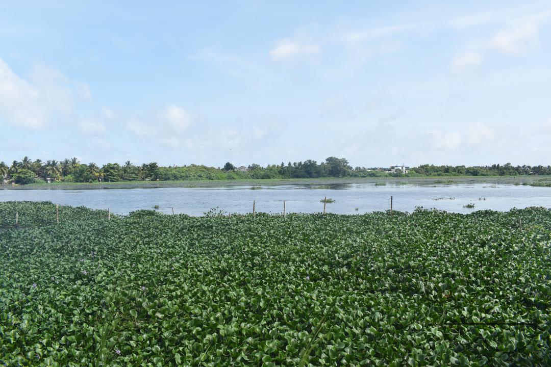 MWC049292