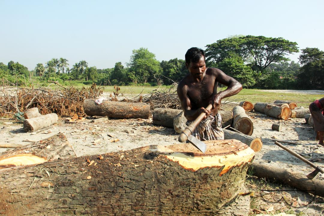Men in Bangladesh cutting logs