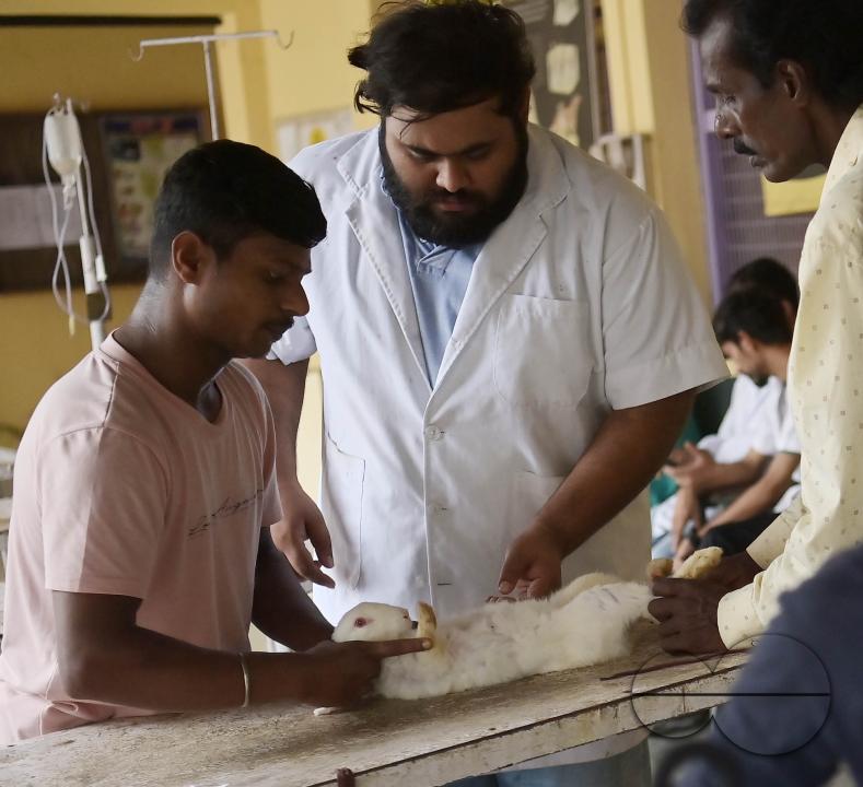 A rabbit is getting treatment and a vaccination on World Zoonoses Day in the State Veterinary Hospital at Agartala