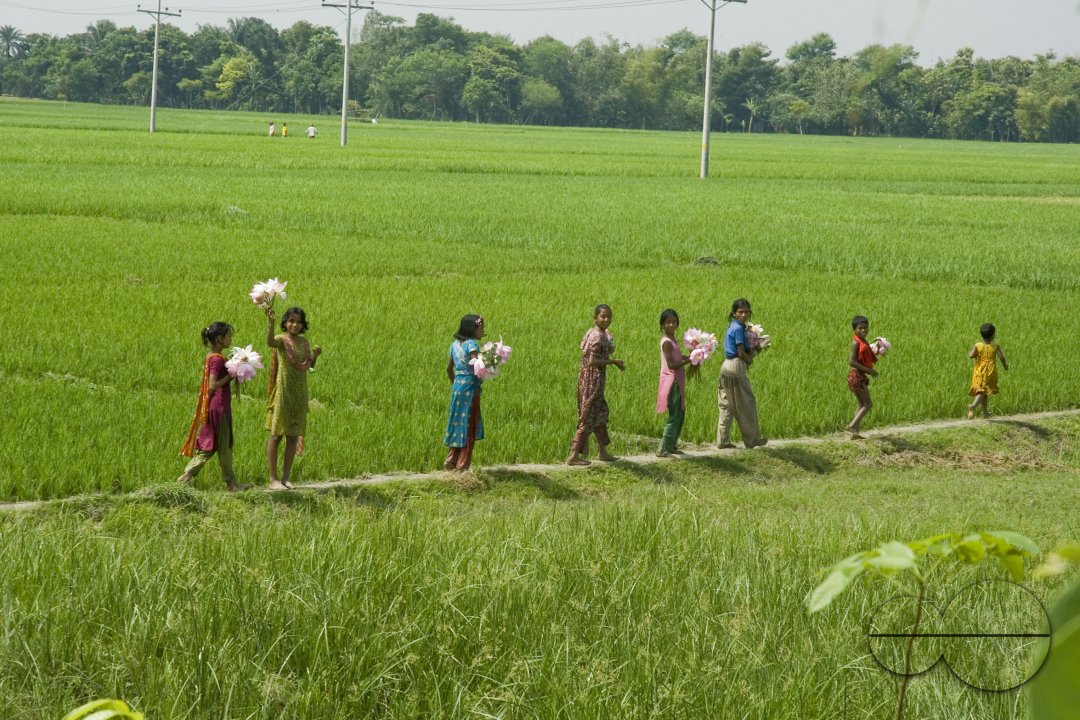 Village_Bangladesh