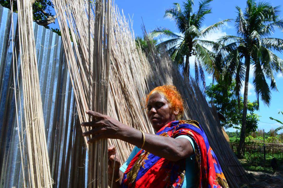 Farmers in Pabna have found an added income from selling jute sticks from jute fibres in the area, thanks to the rise of its commercial use