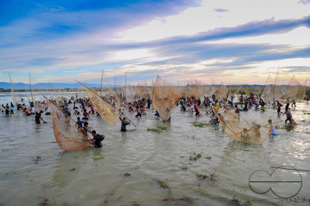 Rural people armed with Bamboo fish traps and nets take part in celebrating a 200-year winter fishing festival at the jofra beel of gasbari union of Kanaighat upazila of Sylhet, Bangladesh.