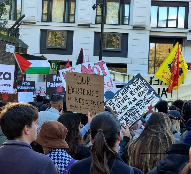 Over 300,000 Pro-Palestinians marched from Hyde Park to the USA embassy in London, on the afternoon of 11th November 2023, protesting against the war and urging an immediateÂ ceasefire