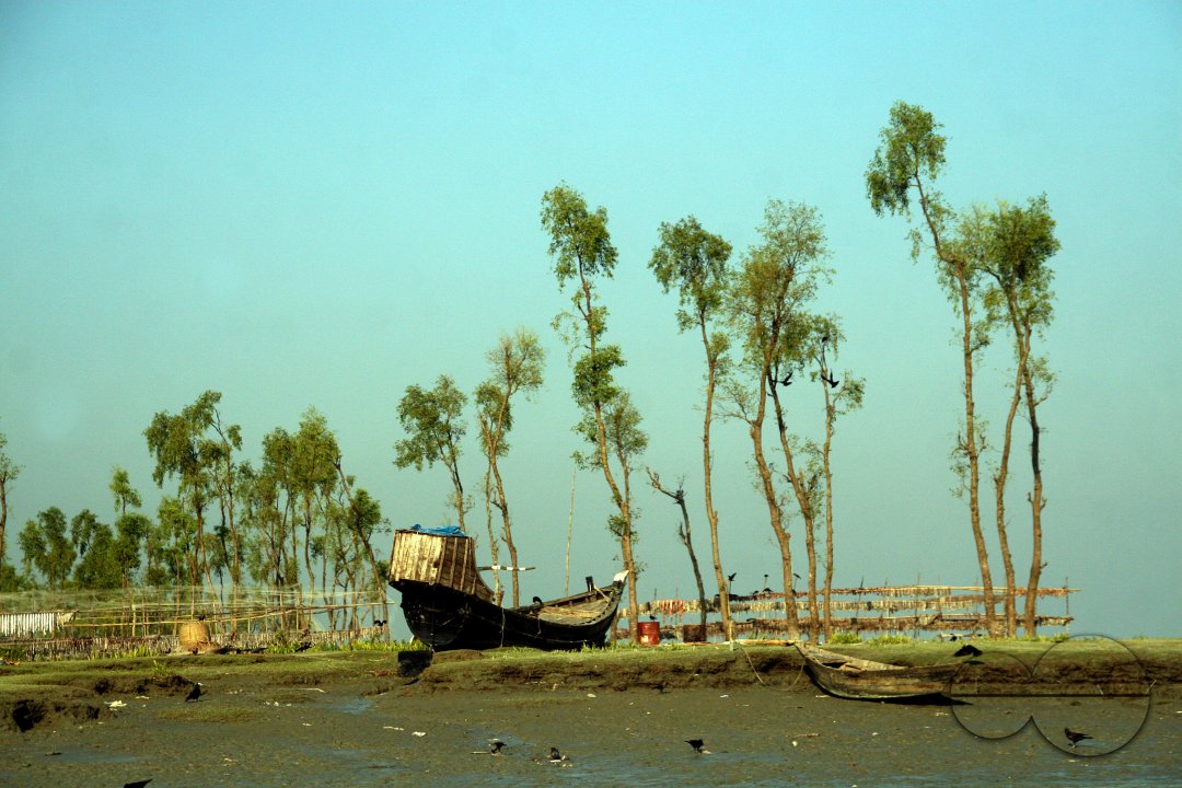 MWC012940