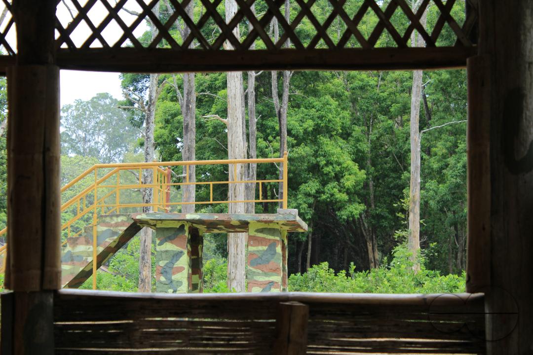 MWC045776
