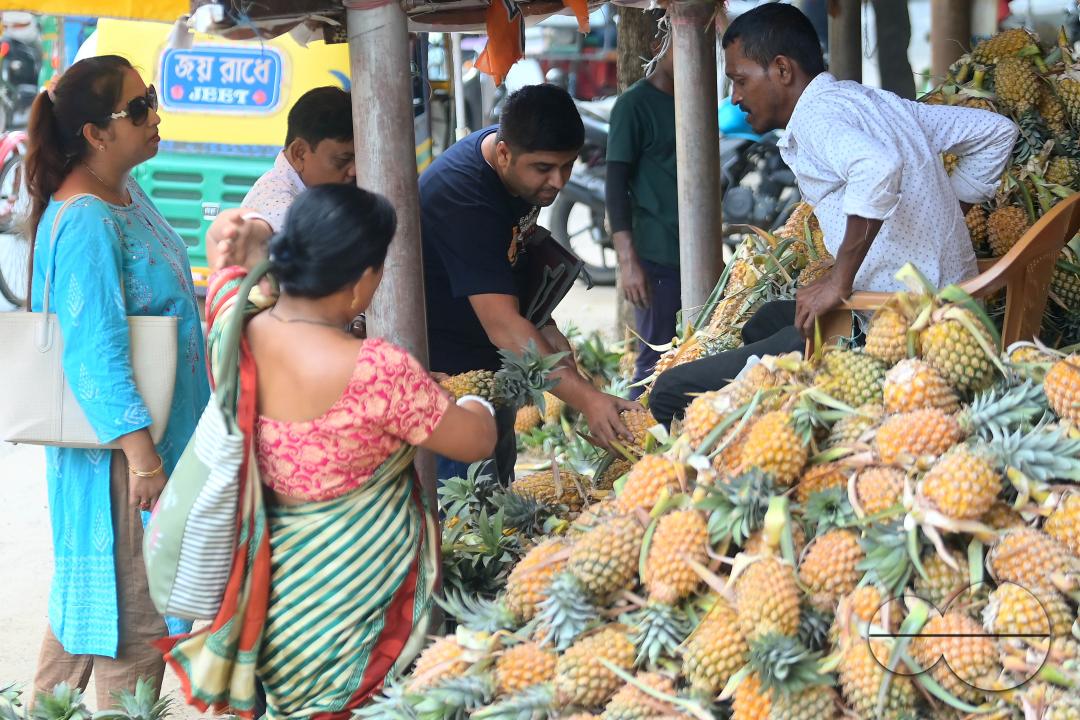 People purchase pineapples, a renowned summer fruit of Tripura, from a vendor's stall at a bustling roadside fruit market in Agartala