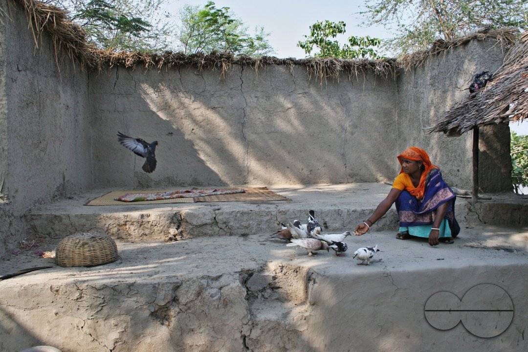 Palanquin_Bangladesh
