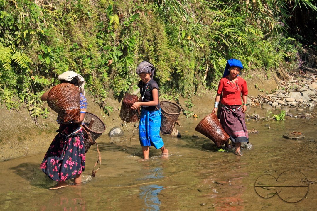 Lifestyle of Indigenous Tribal Peoples
