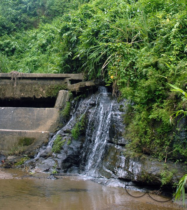 MWC004173