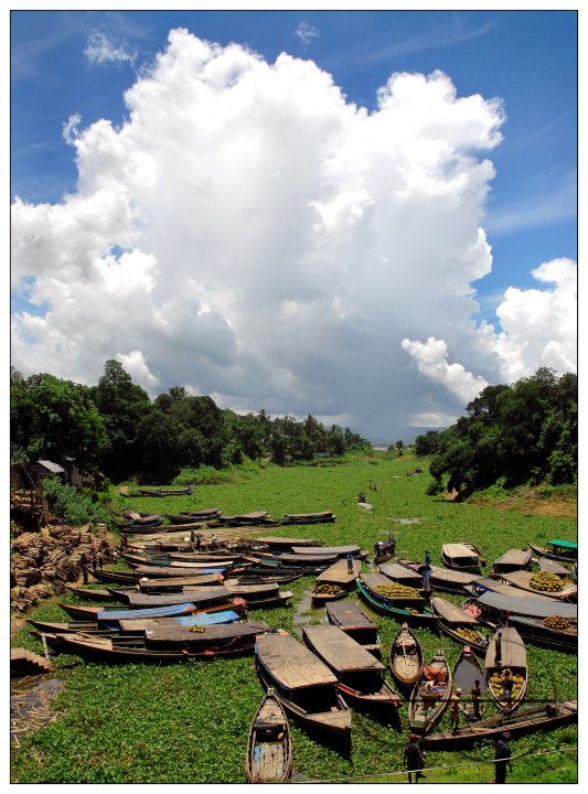 MWC011230