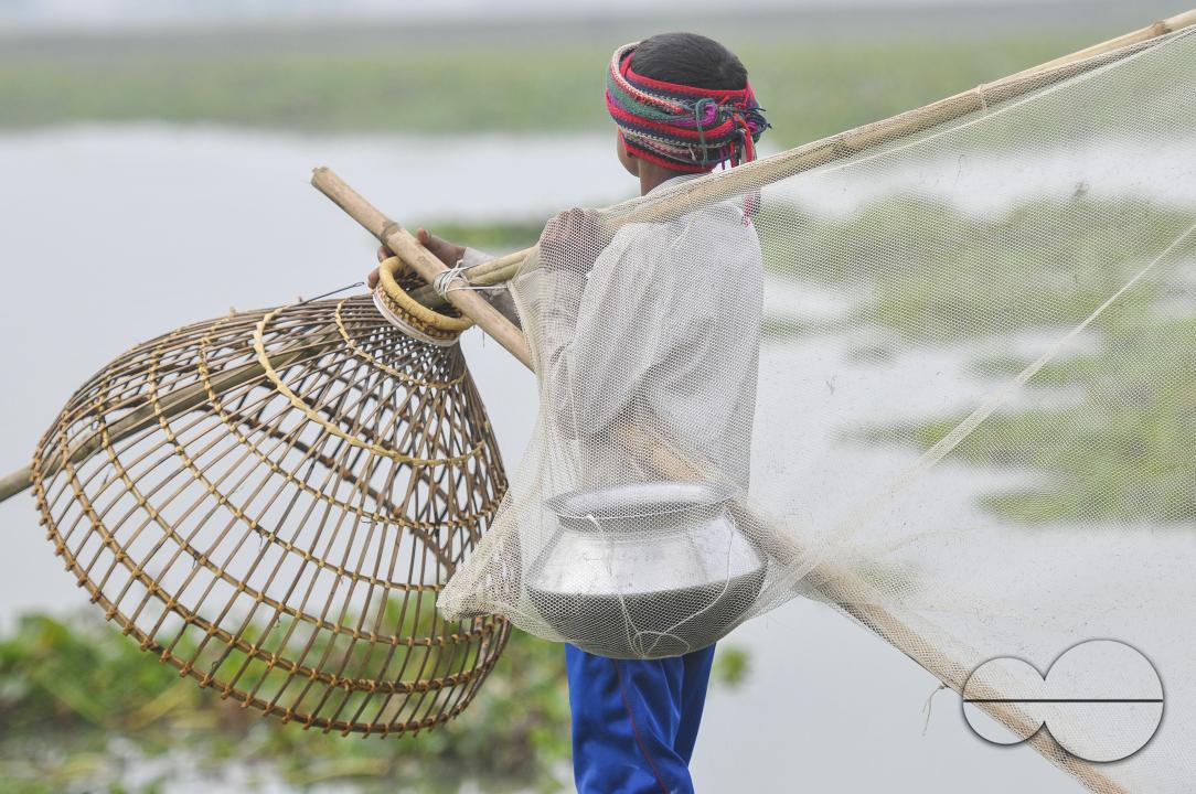 Rural people armed with Bamboo fish traps and handmade fishing nets take part in celebrating in a 100-year winter polo bawa fishing festival at the Gowahori beel of Biswanath upazila in Sylhet