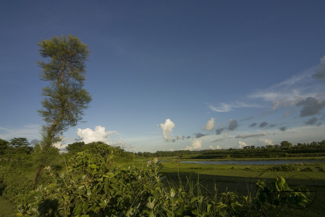 MWC004111