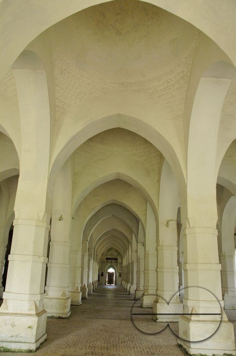 MWC017496