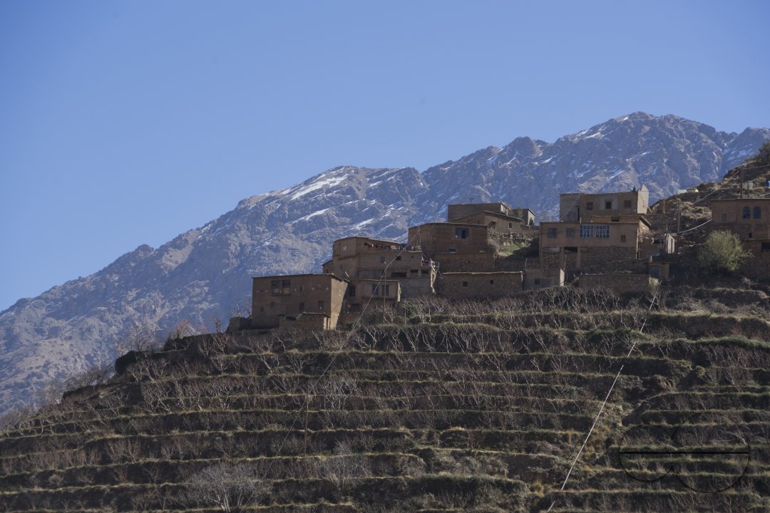 MWC033608