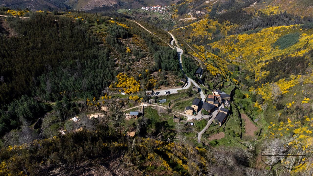 MWC053566