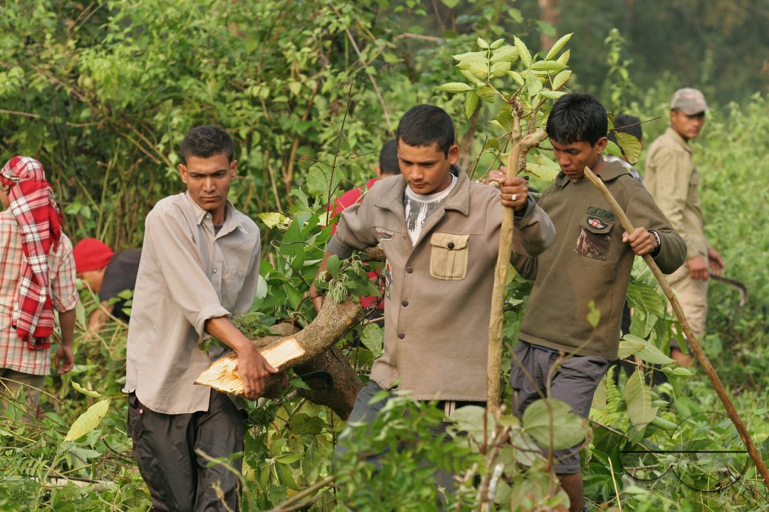 MWC08291