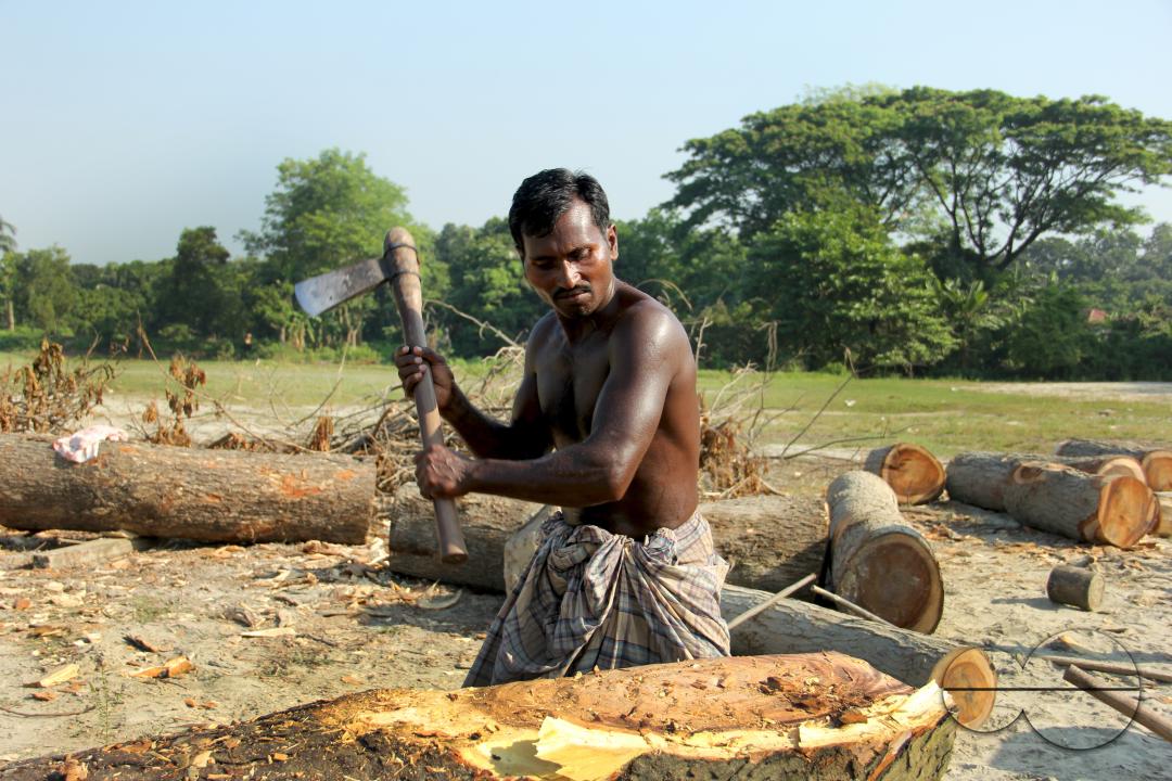 Men in Bangladesh cutting logs
