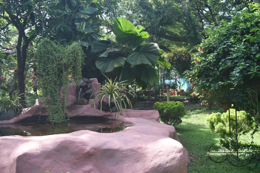 MWC049157