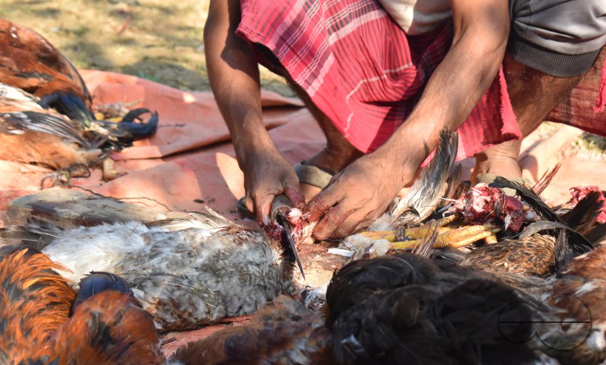 People cleaning fowls for sale at the Balukhali refugee camp