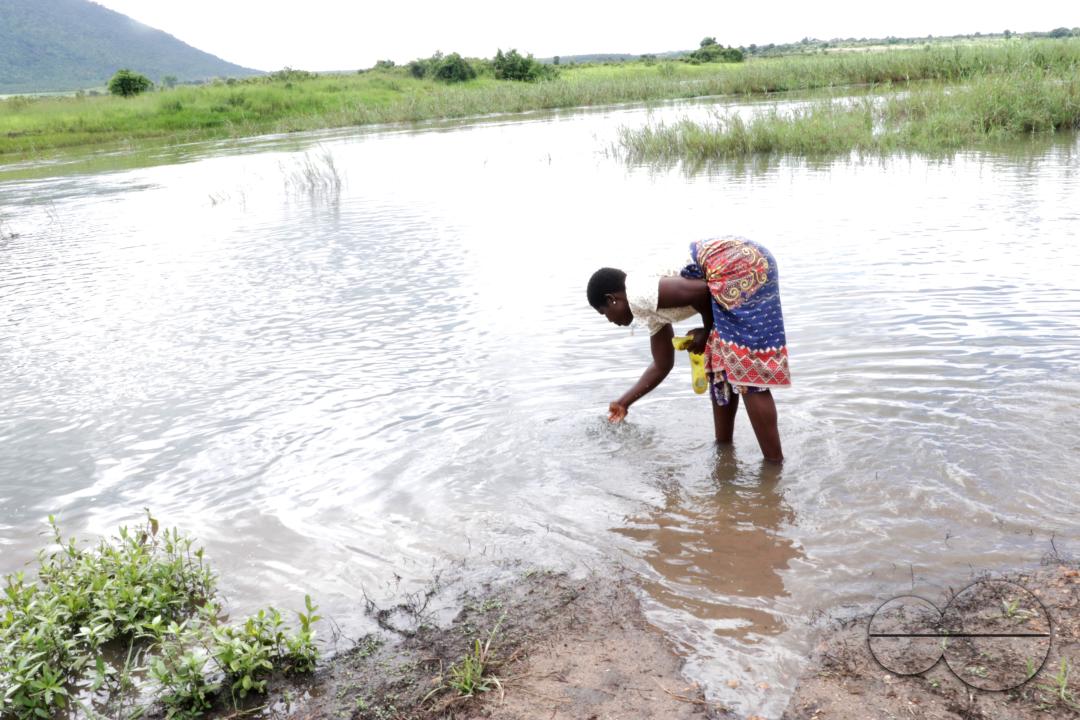 A woman is seen in Bua river cleaning her sandals and washing her hands after planting trees on the banks of the river