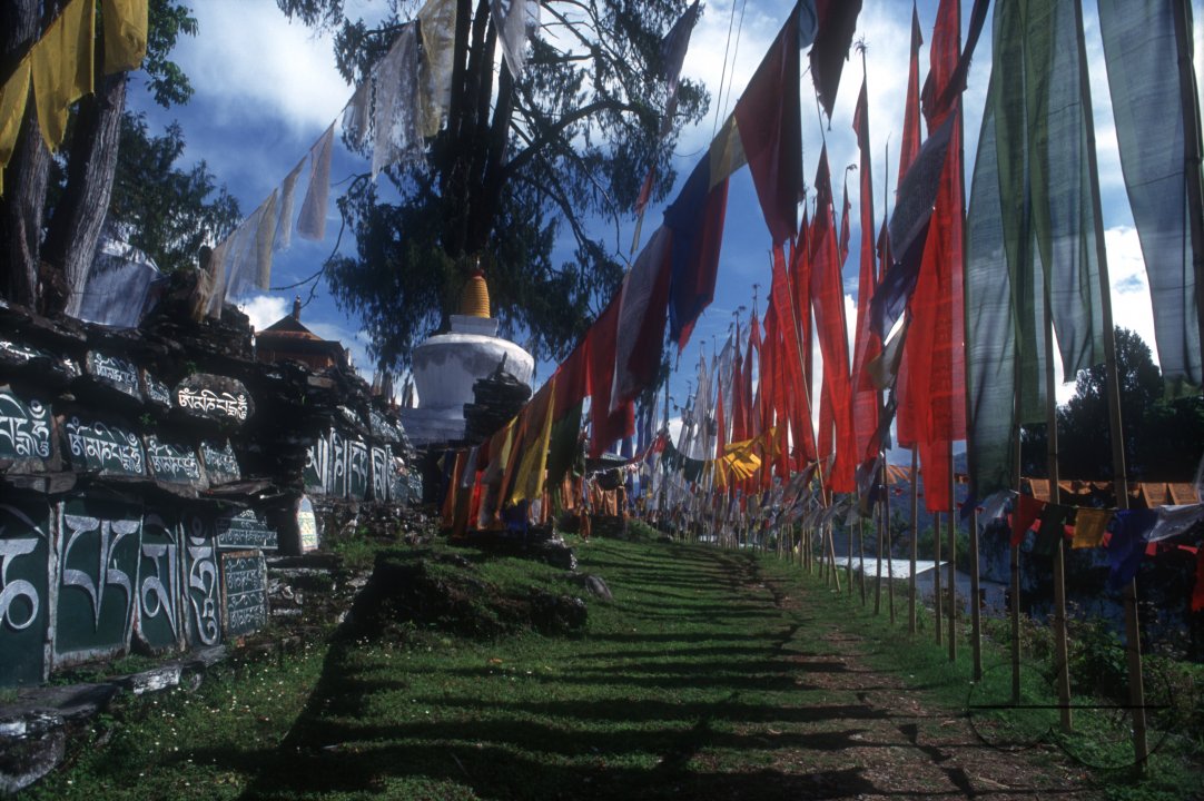 MWC019420