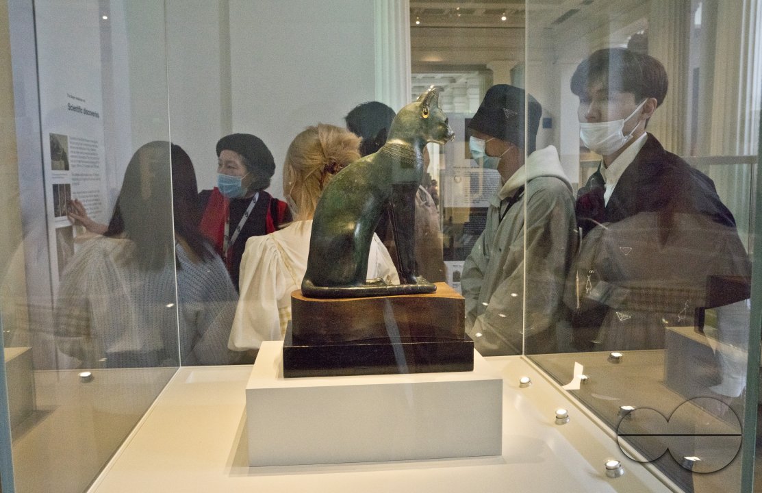 MWC038907