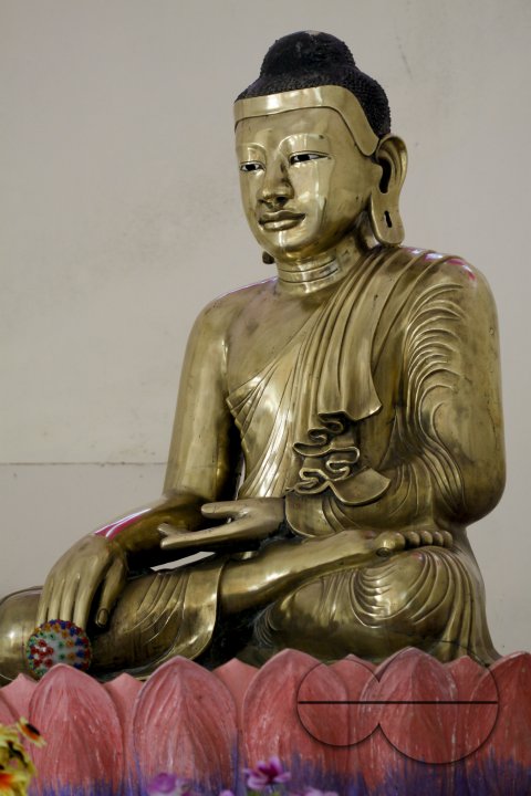 MWC020675