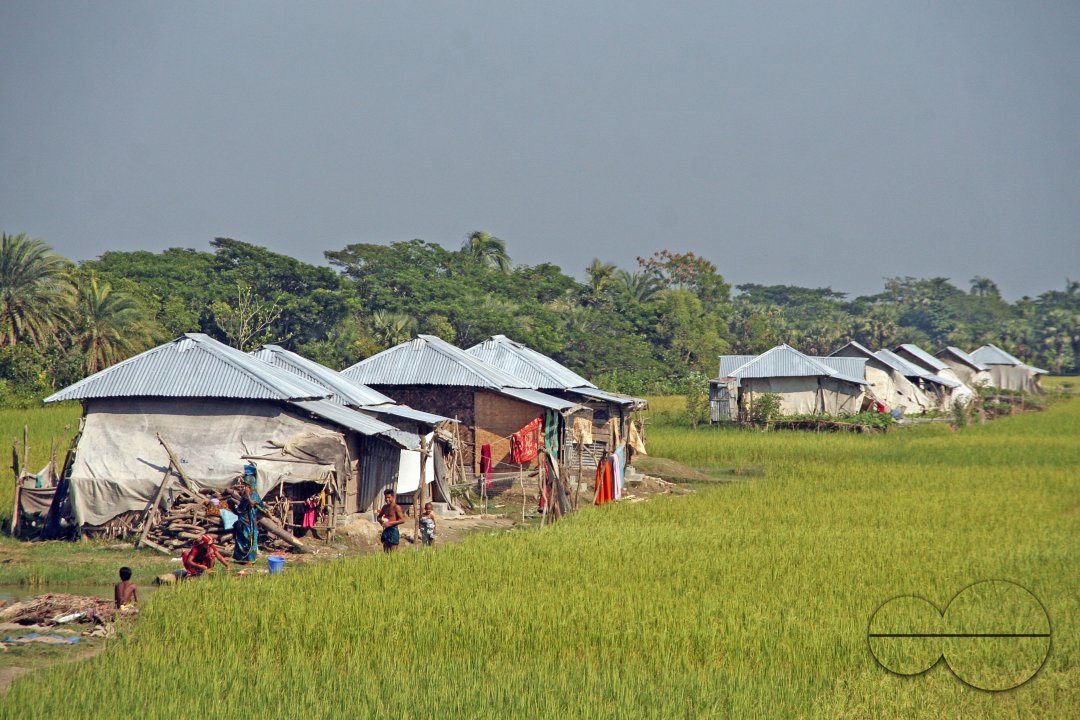MWC012942