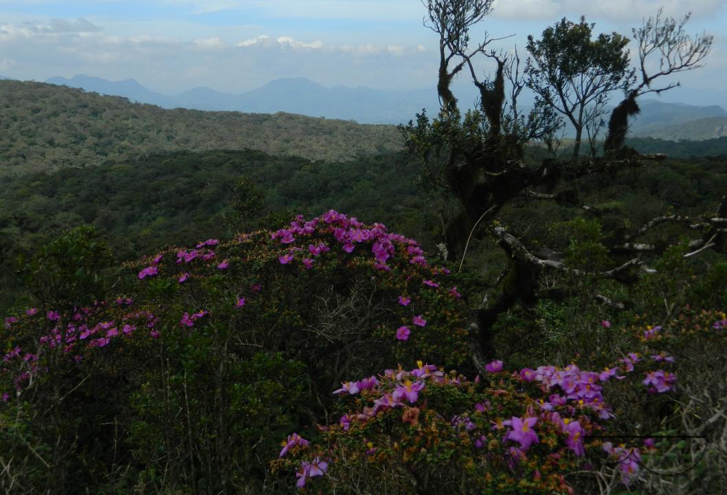 MWC052366