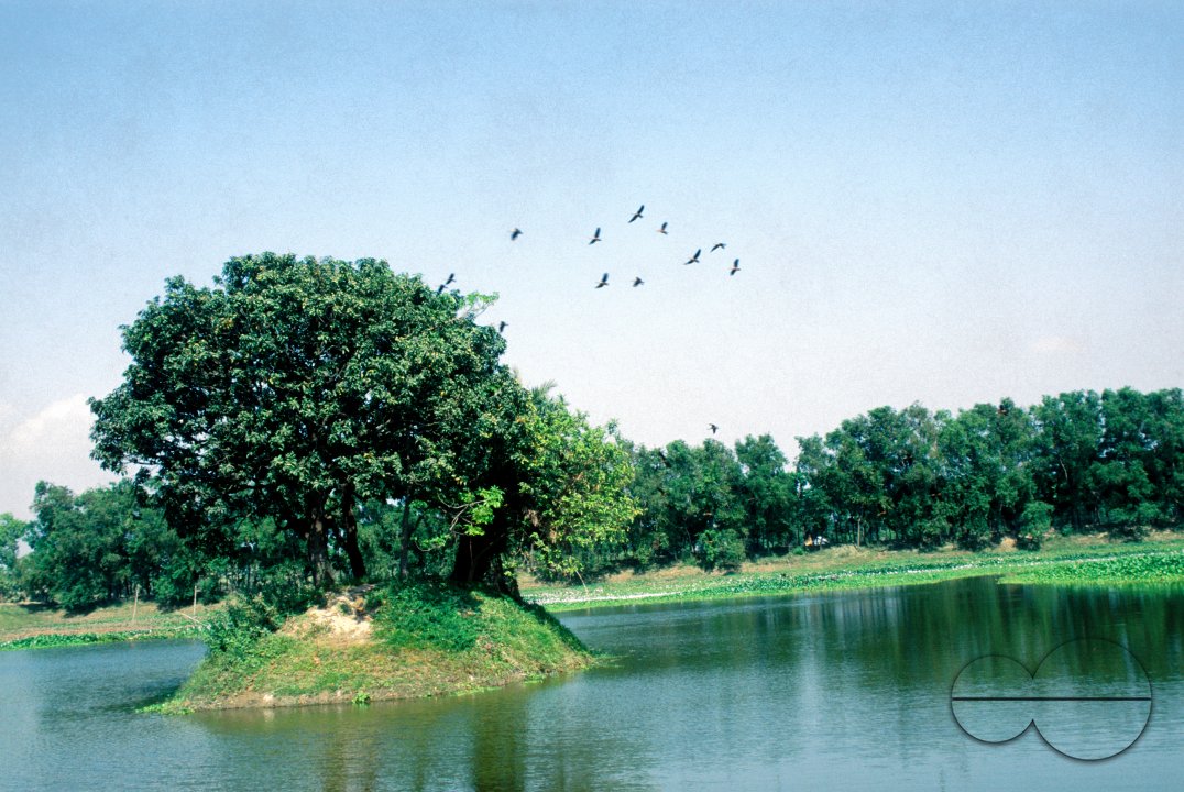 MWC003800