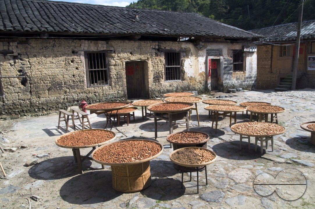 MWC022230
