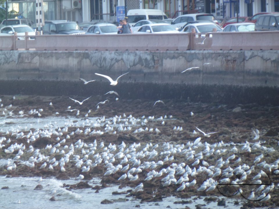 Muscat, Oman