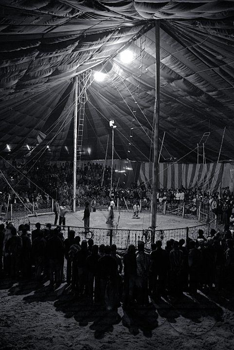 MWC015308