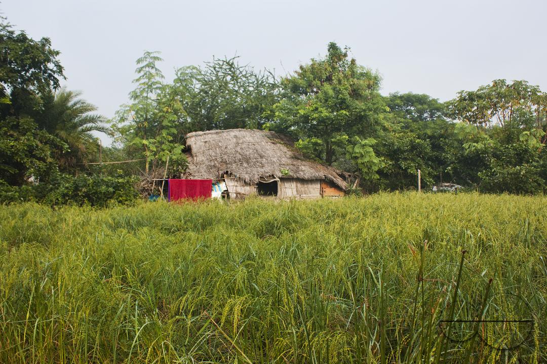 A rural house overlooking farm land in Khulna, Bangladesh.