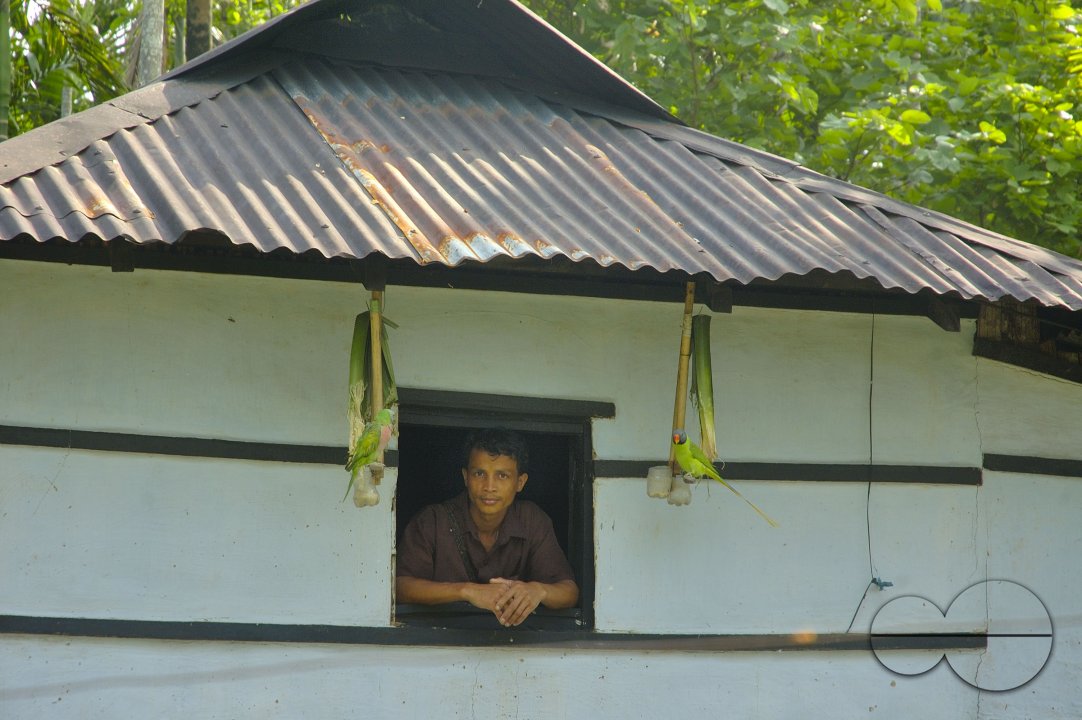 Sangram Pungi