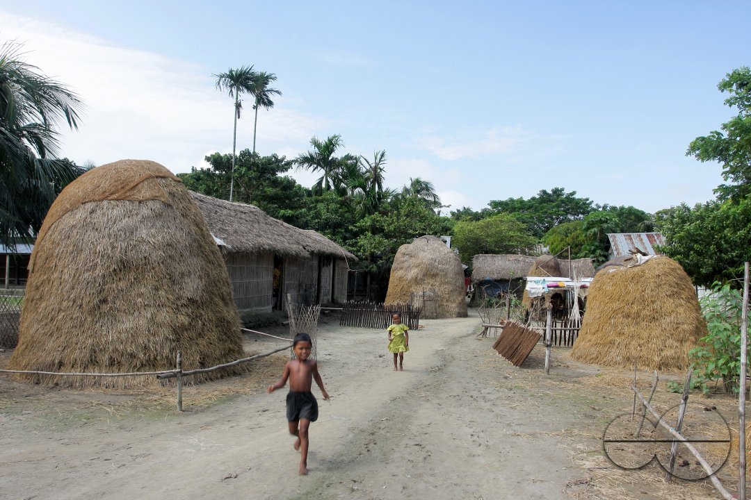 MWC012833