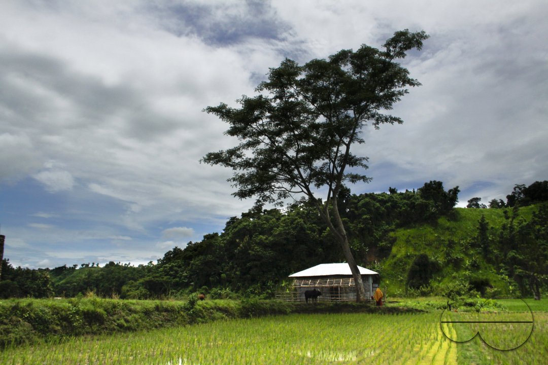 MWC020544