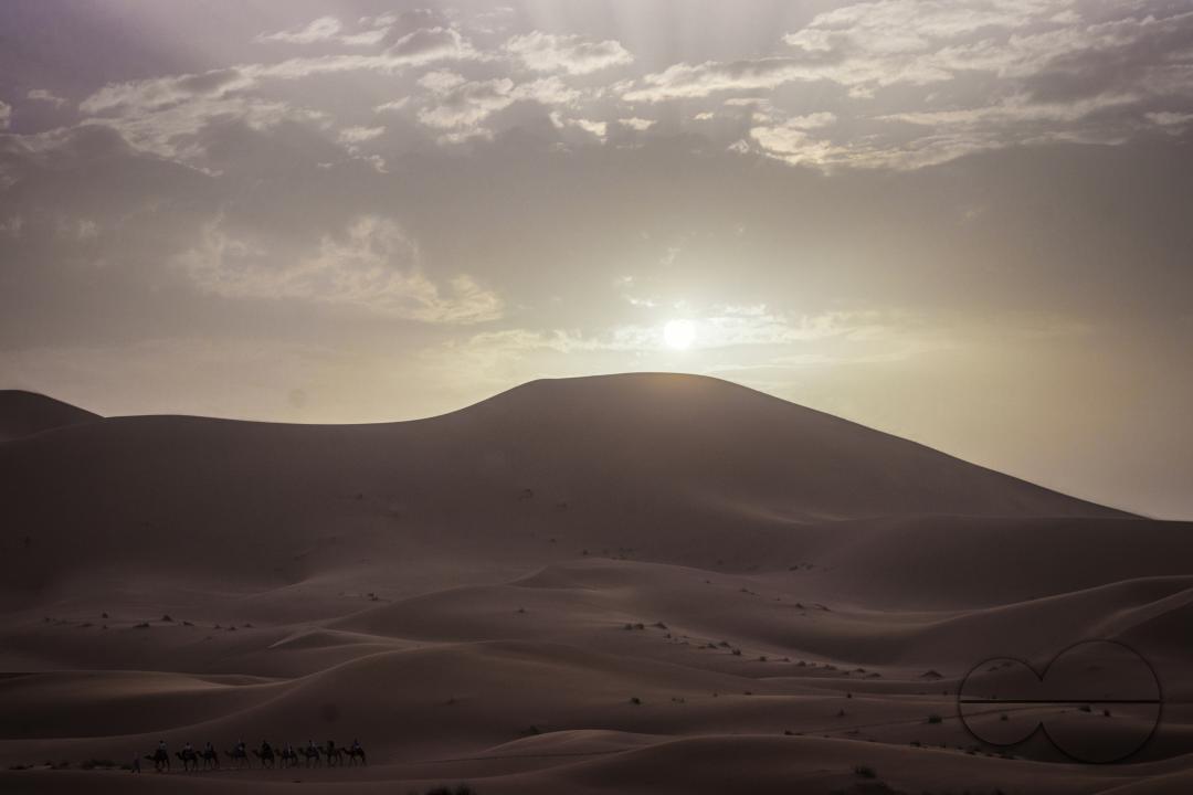 Sunset over the Sahara desert