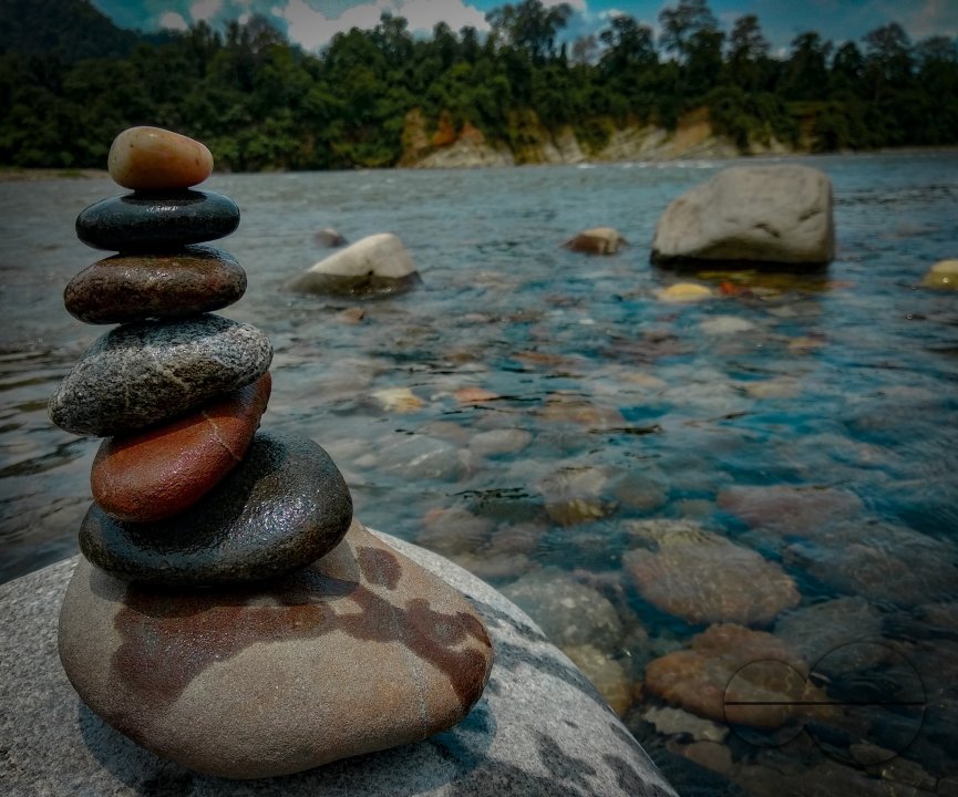 The Balance